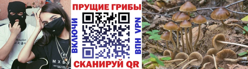 Галлюциногенные грибы GOLDEN TEACHER  продажа наркотиков  Котово 