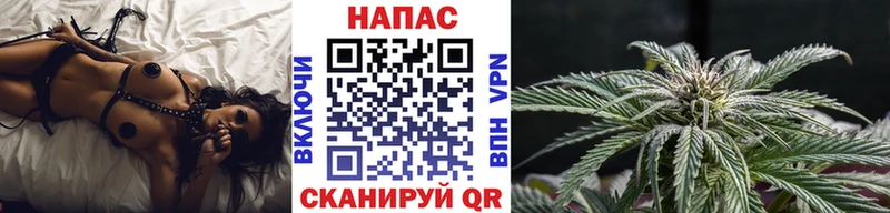 Марихуана сатива  Котово 